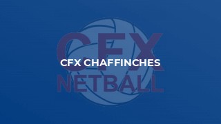 CFX Chaffinches