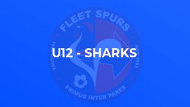 U12 - Sharks