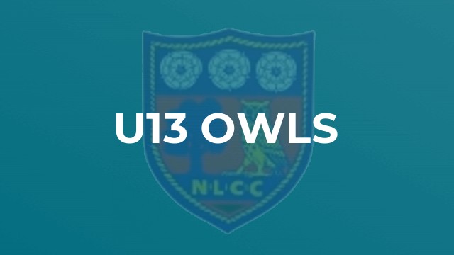 U13 Owls