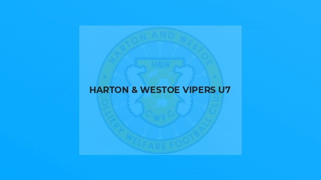 Harton & Westoe Vipers U7