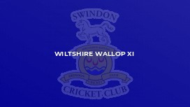 Wiltshire Wallop XI