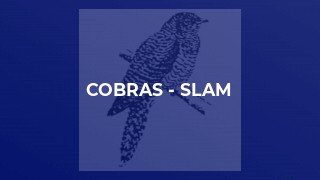 Cobras - SLAM