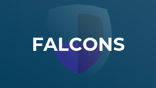 Falcons