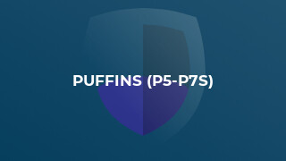 Puffins (P5-P7s)