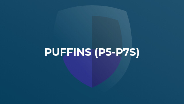 Puffins (P5-P7s)