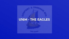 U16M - The Eagles