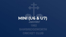 Mini (U6 & U7)