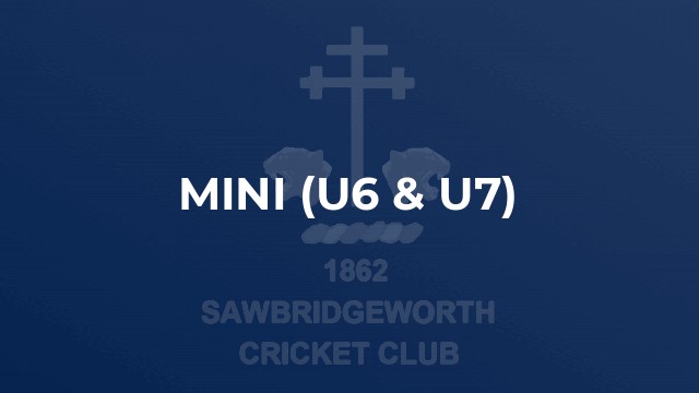 Mini (U6 & U7)