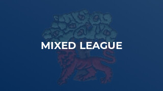 Mixed League