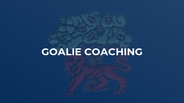 Goalie Coaching
