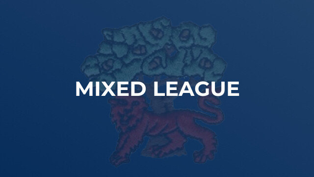 Mixed League