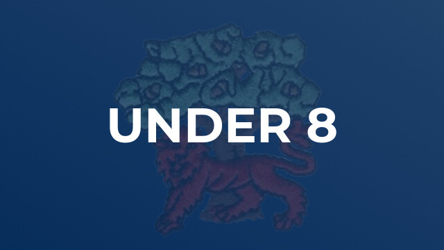 Under 8