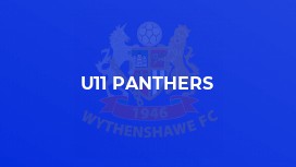 U11 Panthers
