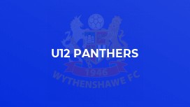 U12 Panthers