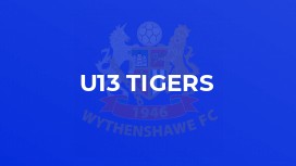 U13 Tigers