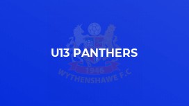 U13 Panthers