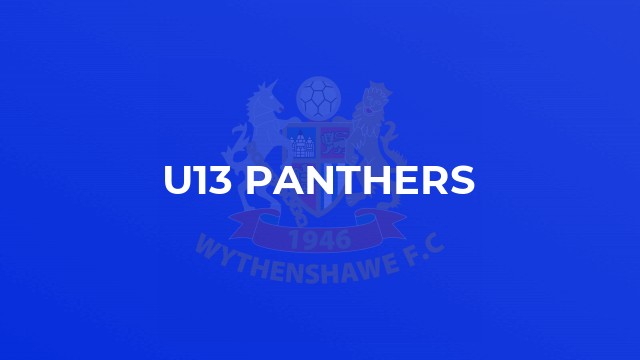 U13 Panthers