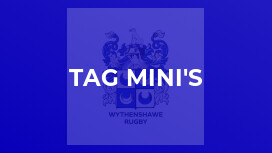 Tag mini's
