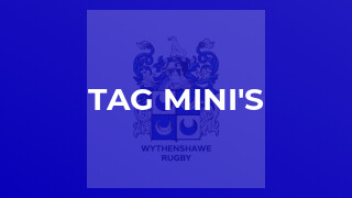 Tag mini's