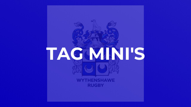 Tag mini's