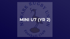 MINI U7 (YR 2)