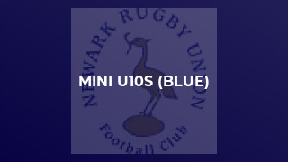 MINI U10s (BLUE)