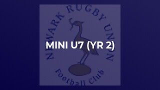MINI U7 (YR 2)