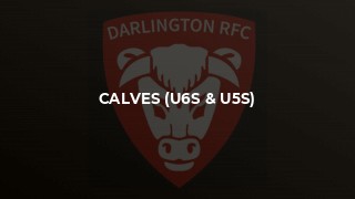 Calves (U6s & U5s)
