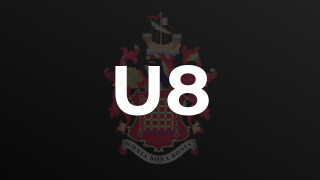 U8