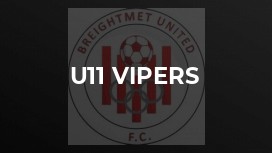 u11 Vipers