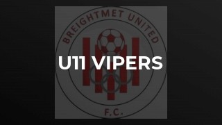 u11 Vipers