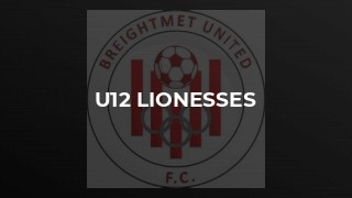 u12 Lionesses