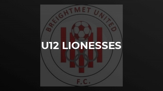 u12 Lionesses