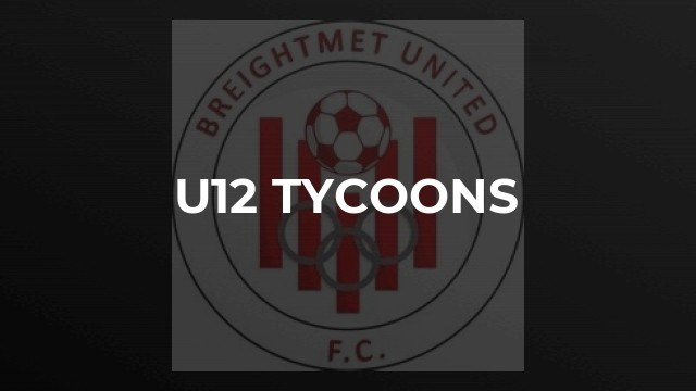 u12 Tycoons