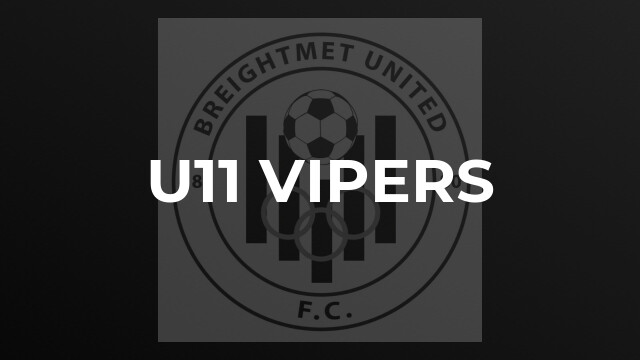 u11 Vipers