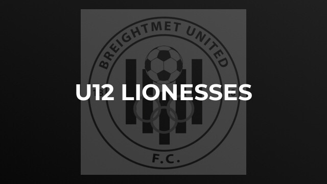 u12 Lionesses