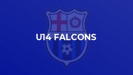 U14 Falcons