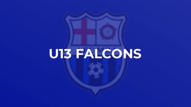 U13 Falcons