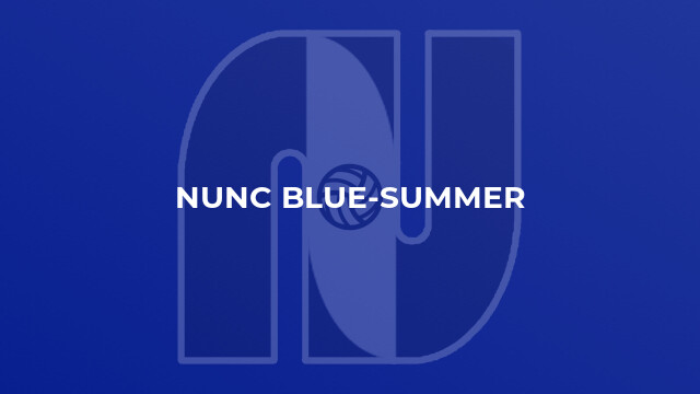 NUNC Blue-summer