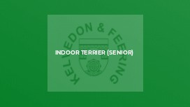 Indoor Terrier (Senior)