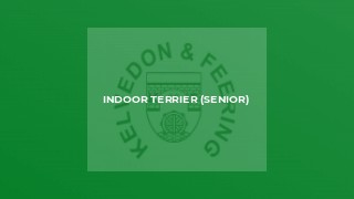 Indoor Terrier (Senior)