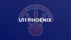 U11 Phoenix