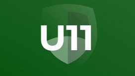 U11