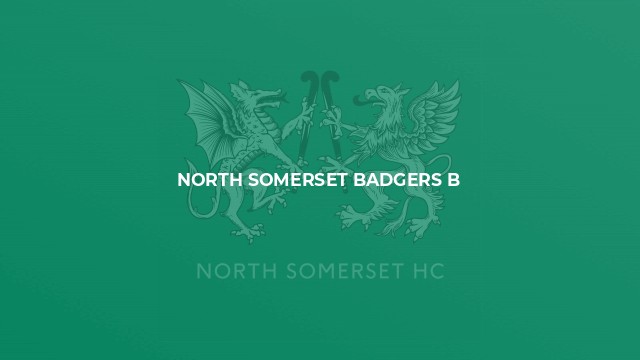 North Somerset Badgers B