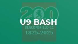 U9 Bash