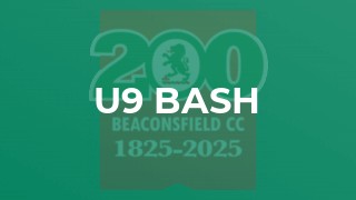 U9 Bash