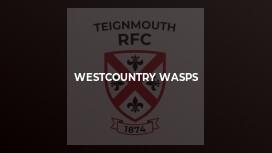 Westcountry Wasps