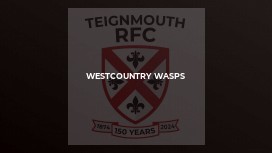 Westcountry Wasps