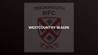 Westcountry Wasps