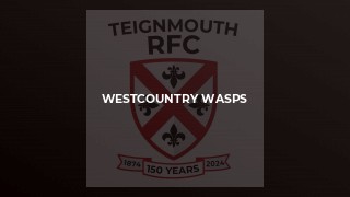 Westcountry Wasps